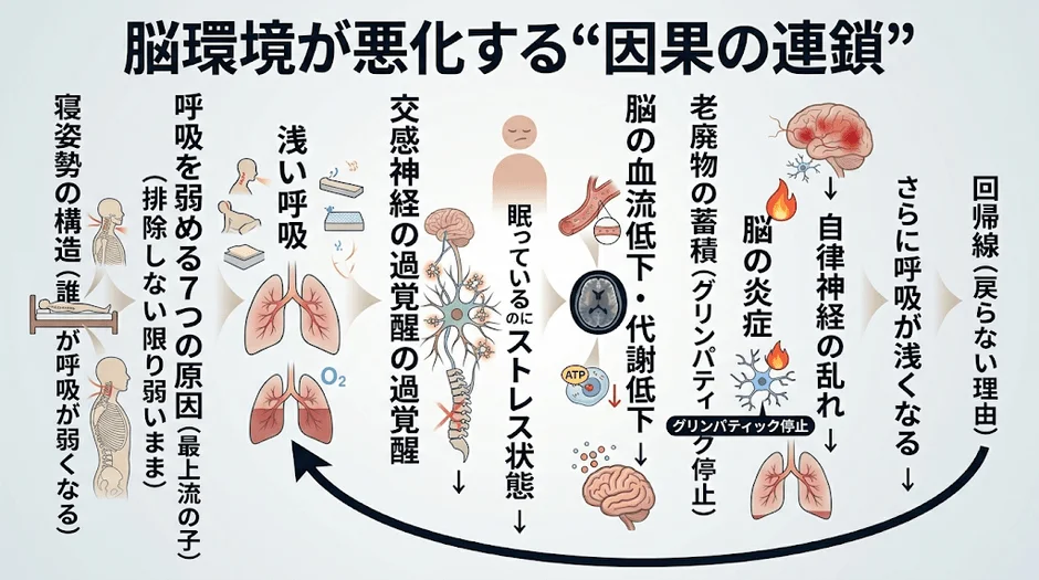 脳環境が悪化する因果の連鎖