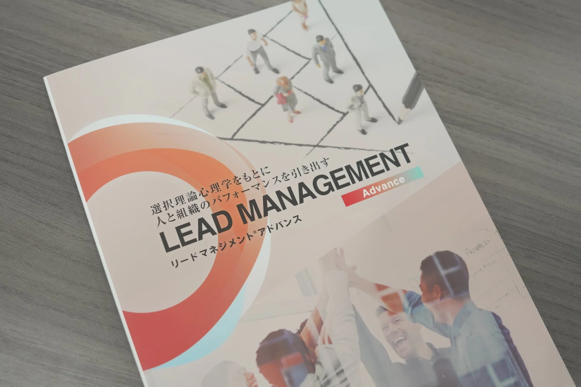 LEAD MANAGEMENT Advanceの書籍/パンフレット
