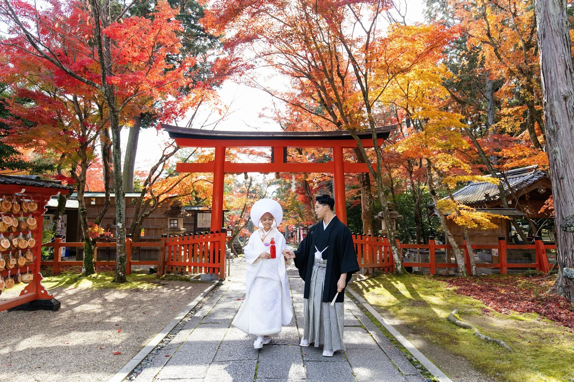 紅葉と鳥居の和装カップル